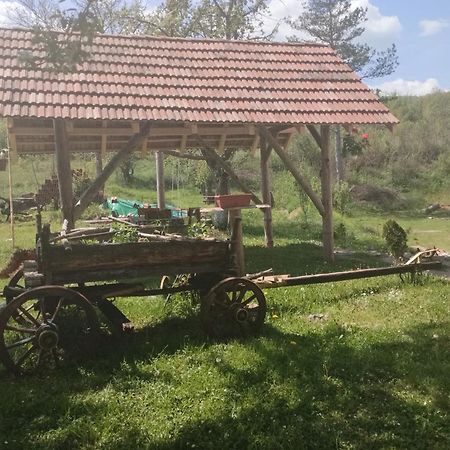 Etno Konak Angela-Srbija Hotel Kalna Bagian luar foto