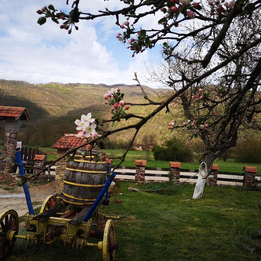 Etno Konak Angela-Srbija Hotel Kalna Bagian luar foto