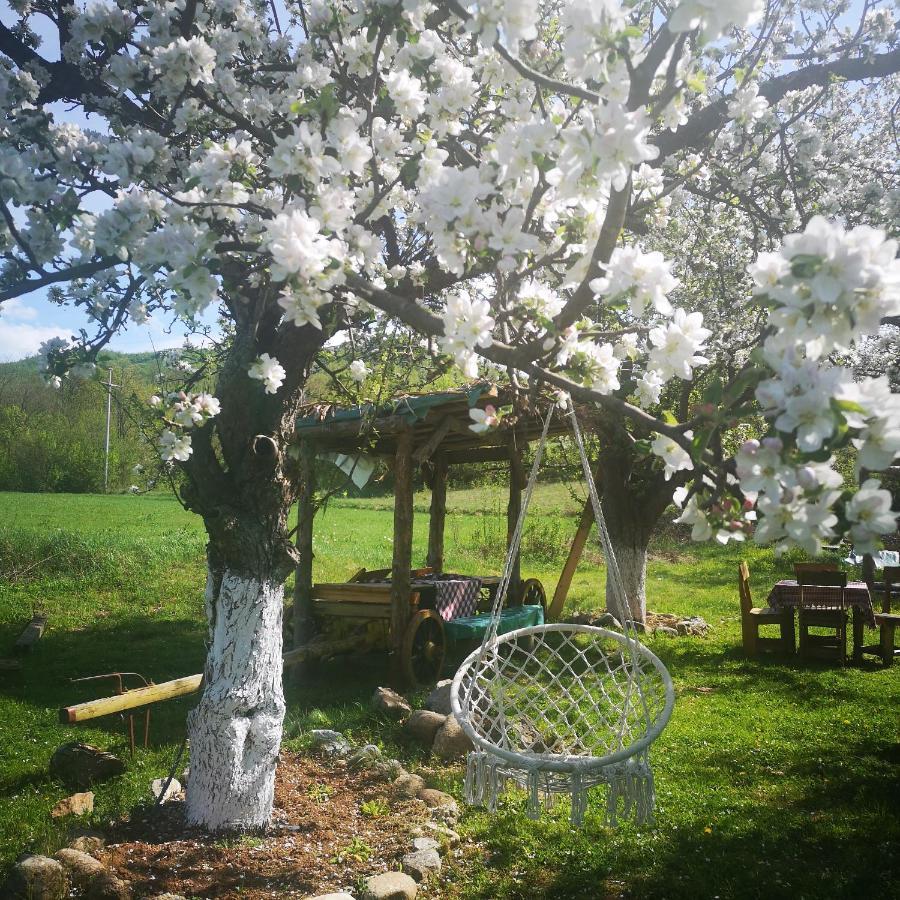 Etno Konak Angela-Srbija Hotel Kalna Bagian luar foto