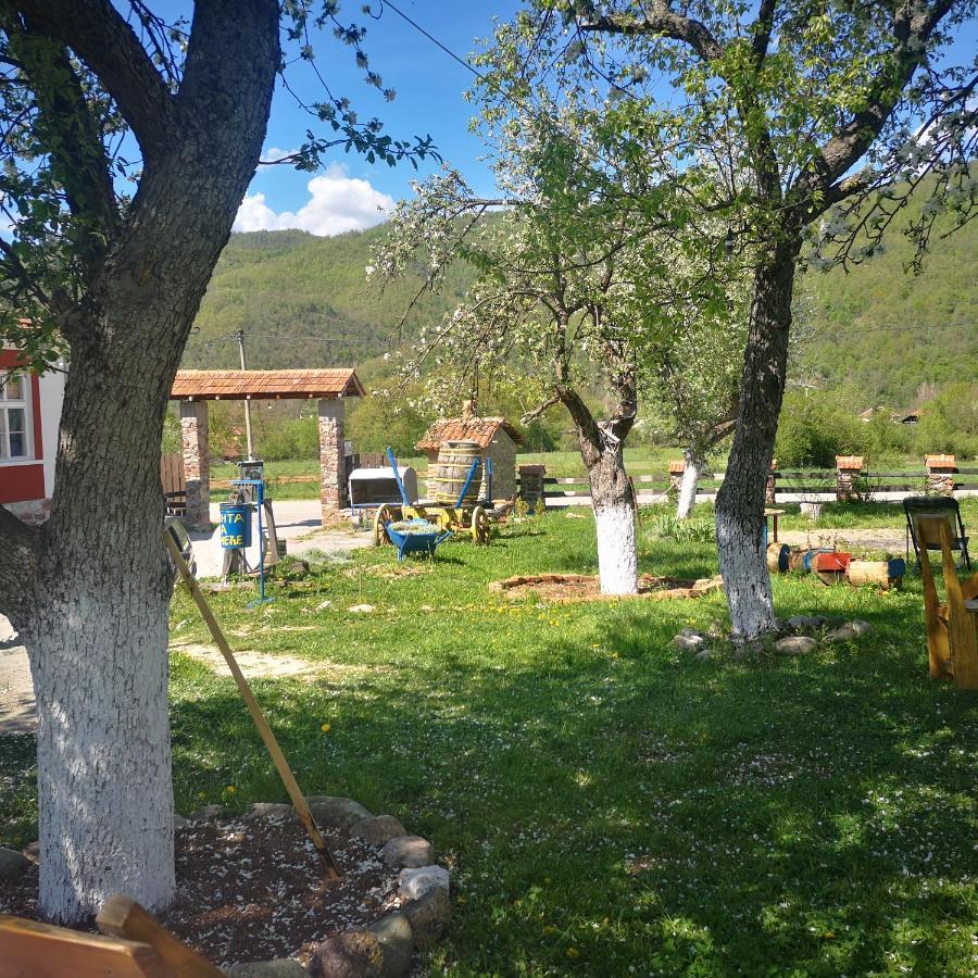 Etno Konak Angela-Srbija Hotel Kalna Bagian luar foto