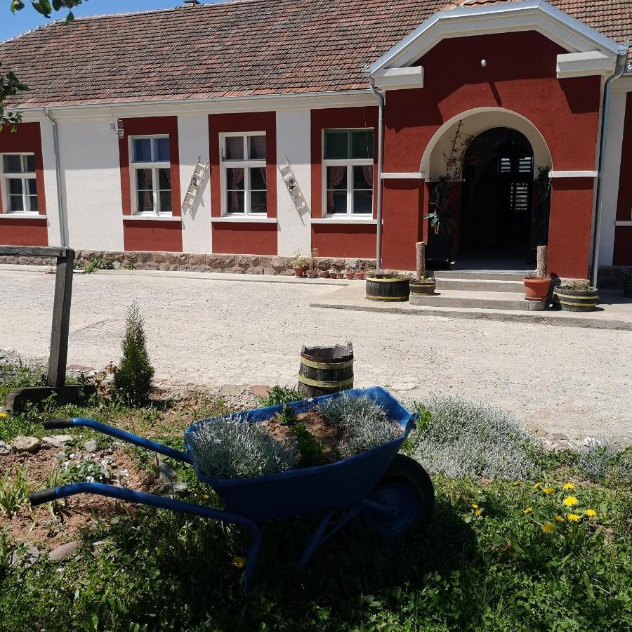 Etno Konak Angela-Srbija Hotel Kalna Bagian luar foto