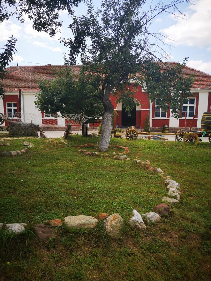 Etno Konak Angela-Srbija Hotel Kalna Bagian luar foto